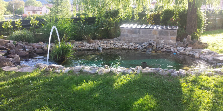 Le blog récifal Aquariophilie récifale, fish only et bassin de jardin