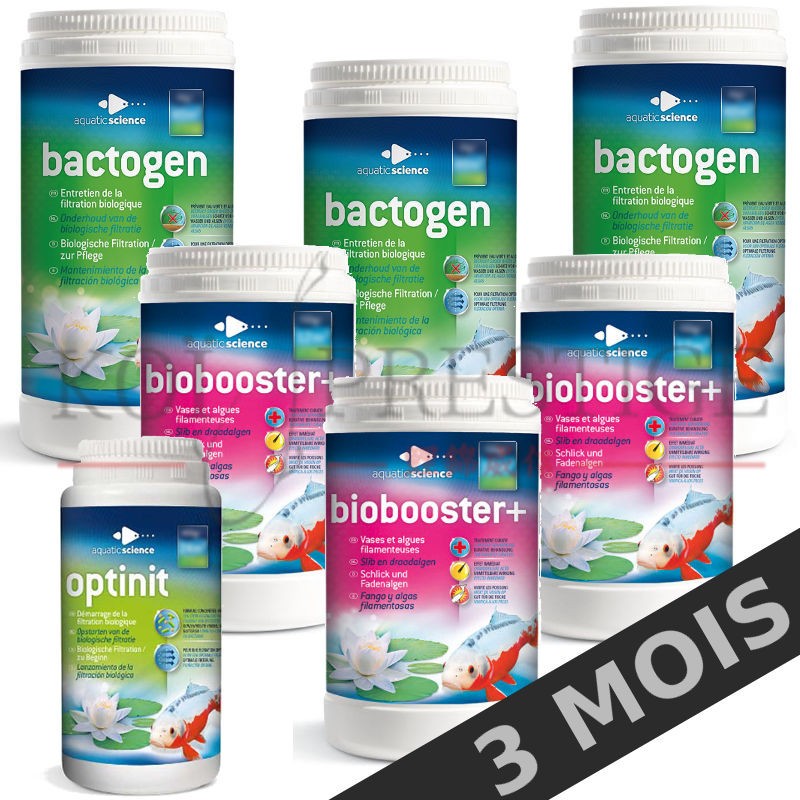 Bactéries bassin entretien 12 m3