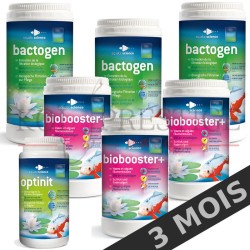 Bactéries bassin entretien 24 m3