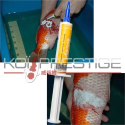 Gel antibiotique koi