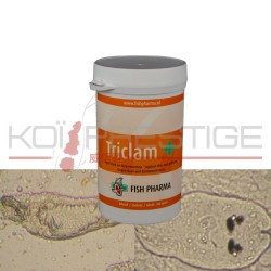 Triclam +