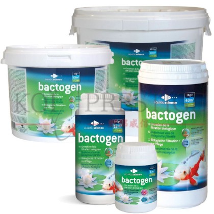Bactogen,  bactéries pour bassin de jardin