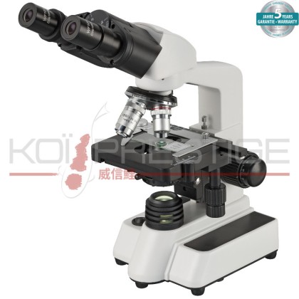 Microscope binoculaire pour carpe koi