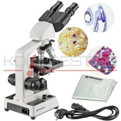 Microscope binoculaire Bino Researcher