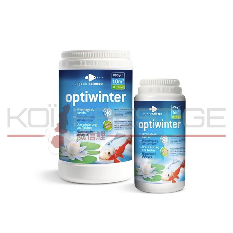 Traitement d'hiver pour bassin Optiwinter