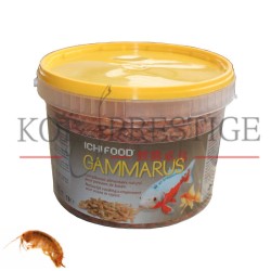 ICHI FOOD Gammarus