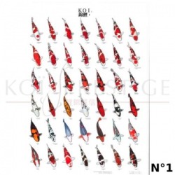 Poster variétés carpes koi