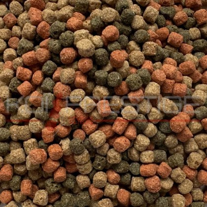 aliment koi top qualité en vrac