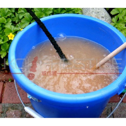 bacteries activables pour bassin