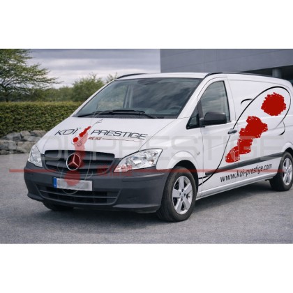 Intervention et diagnostic bassin