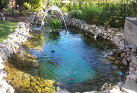 Le bassin de jardin de Gérard