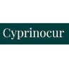 Cyprinocur