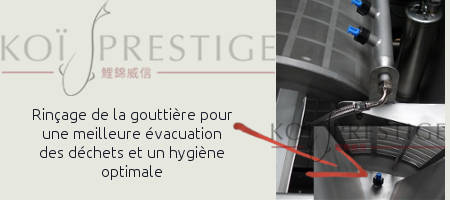 Rinçage de la gouttière d'evacuation