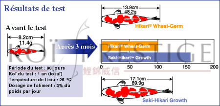 test de saki hikari growth