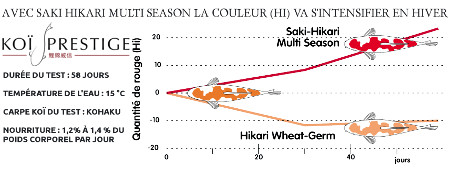 couleur du koi preservée avec hikari multi season