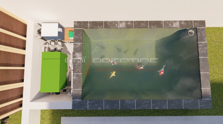 bassin koi pour particulier