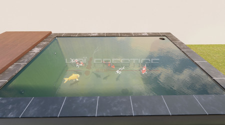 rendu 3D bassin koi