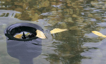 Skimmer sur pied Oase