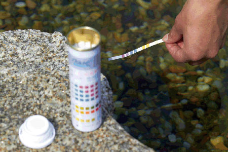 Tester l'eau de bassin avec QuickStick 6 en 1 étape 1