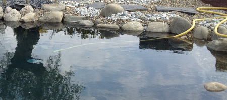 changement d'eau du bassin