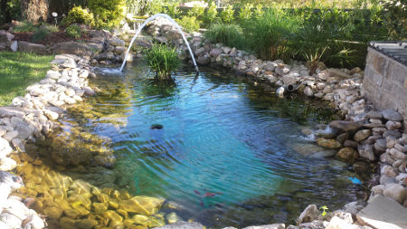 Création, le bassin de jardin de 20 m3 de Gérard dans le Tarn