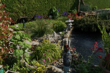 Lagune pour bassin de jardin